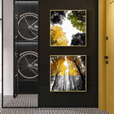 Paint by Numbers Deciduous forest SS-499